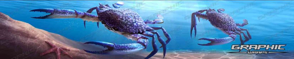 Blue Swimmer Crabs WM