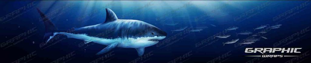 White Shark Artwork