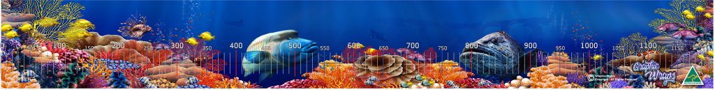 Coral Reef Brag mat