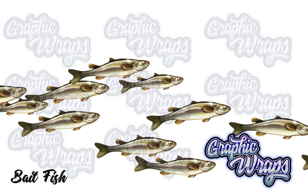 Bait Fish Fish Graphic Wraps Character Asset 1