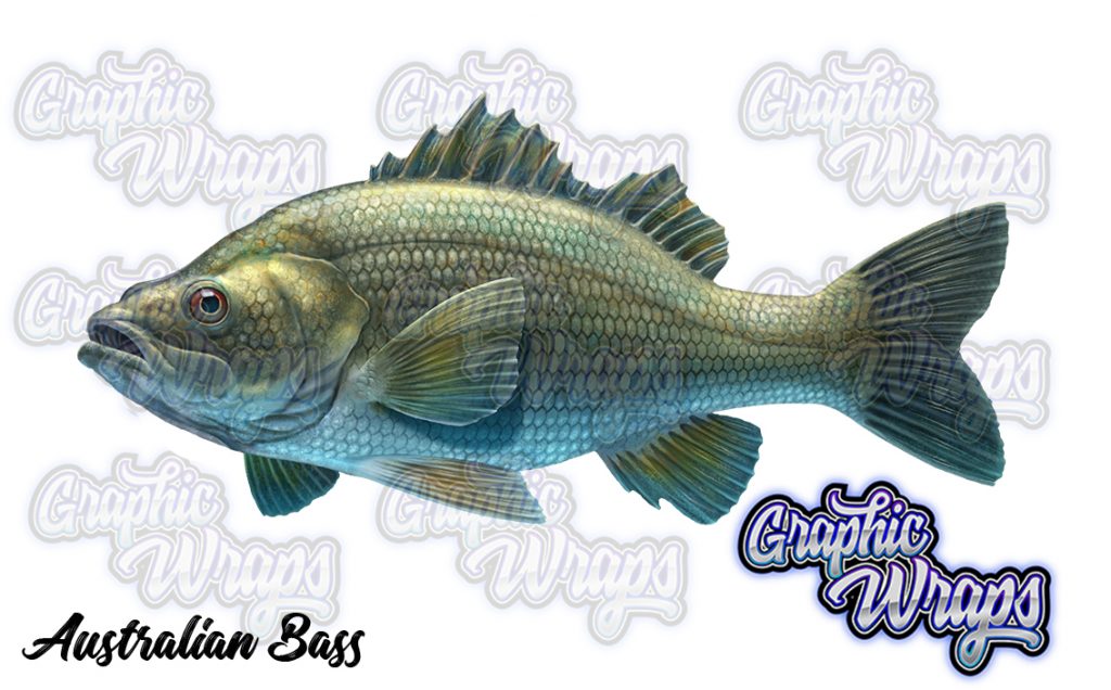 Bass Graphic Wraps Character Asset 1