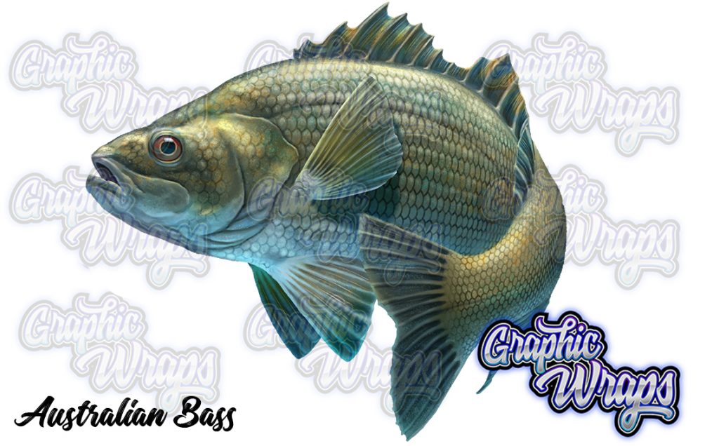 Bass Graphic Wraps Character Asset 2