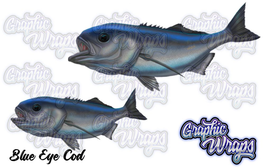 Blue Eye Cod Graphic Wraps Character Asset 1