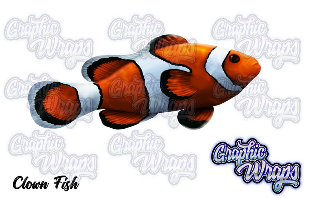 Clown Fish Graphic Wraps Character Asset 2