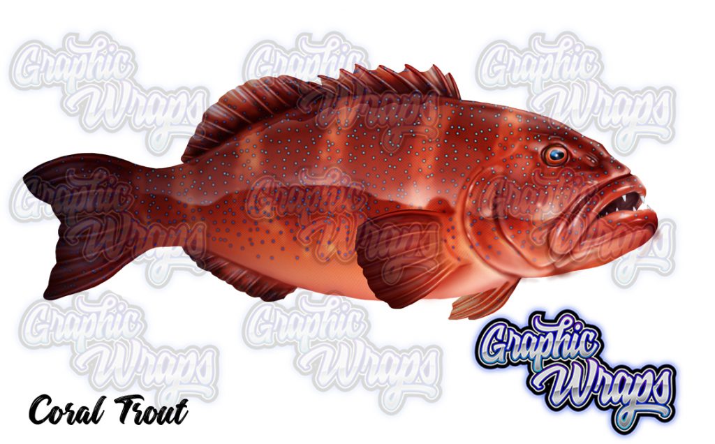 Coral Trout Graphic Wraps Character Asset 2