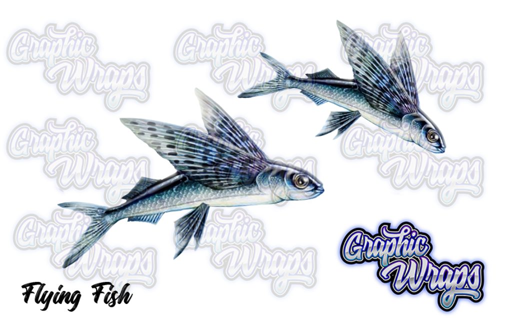 Flying Fish Graphic Wraps Character Asset