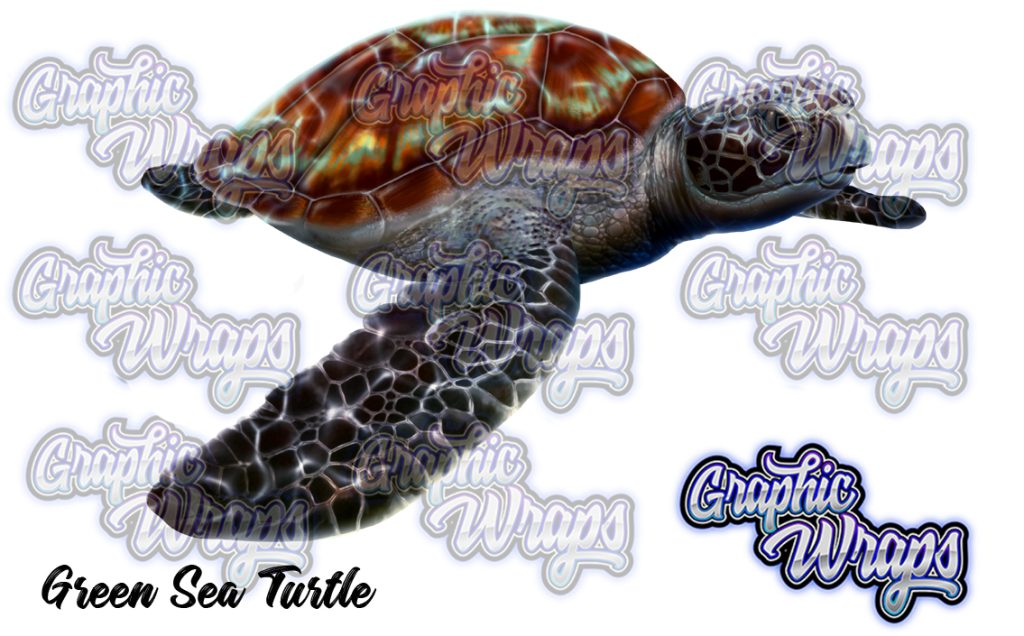 Green Sea Turtle Graphic Wraps Character Asset 2