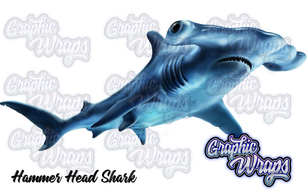 Hammerhead Shark Graphic Wraps Character Asset 2