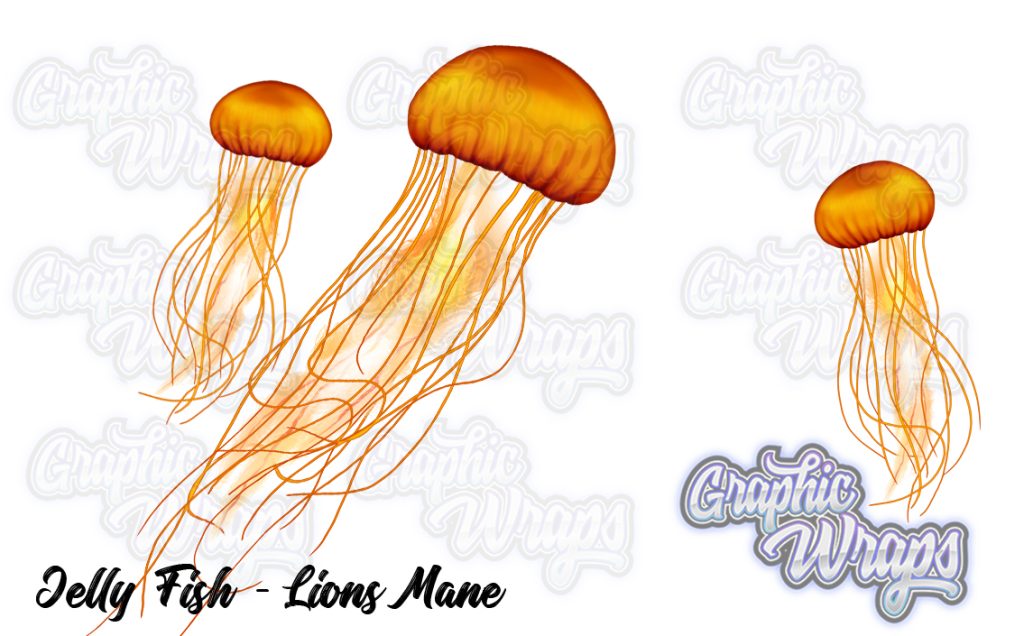 Jelly Fish - Lions Mane Graphic Wraps Character Asset 2
