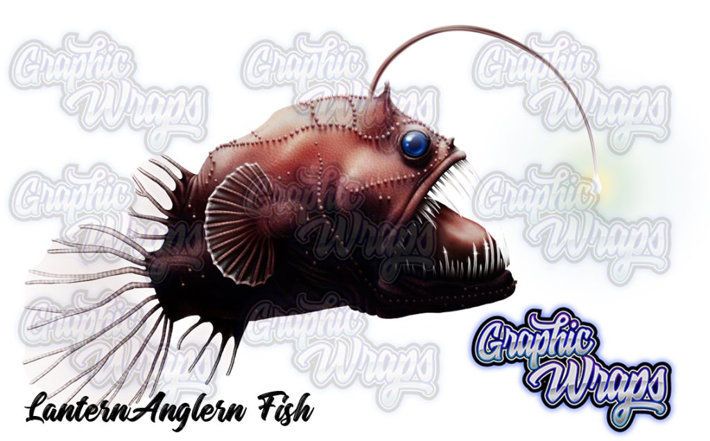 Lantern Angler Fish Graphic Wraps Character Asset 2