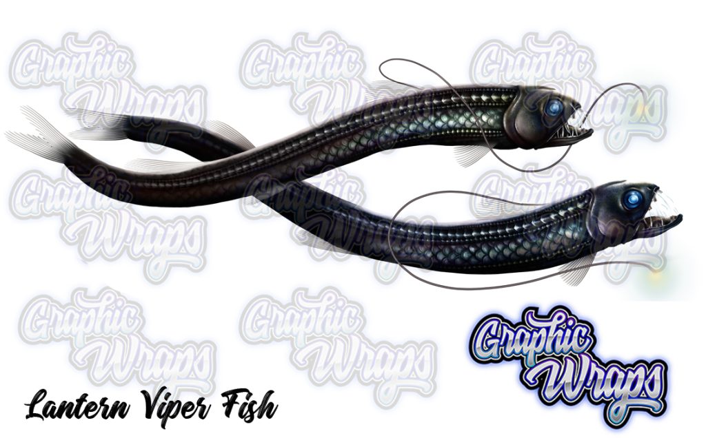 Lantern Viper Fish Graphic Wraps Character Asset 2