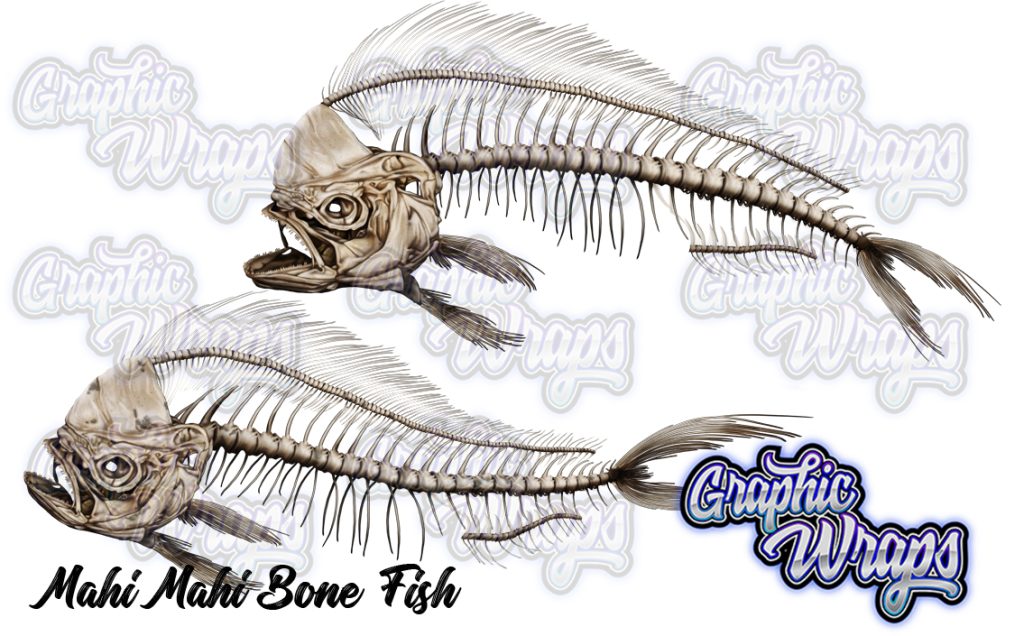 Mahi Mahi Bone Fish Graphic Wraps Character Asset 1