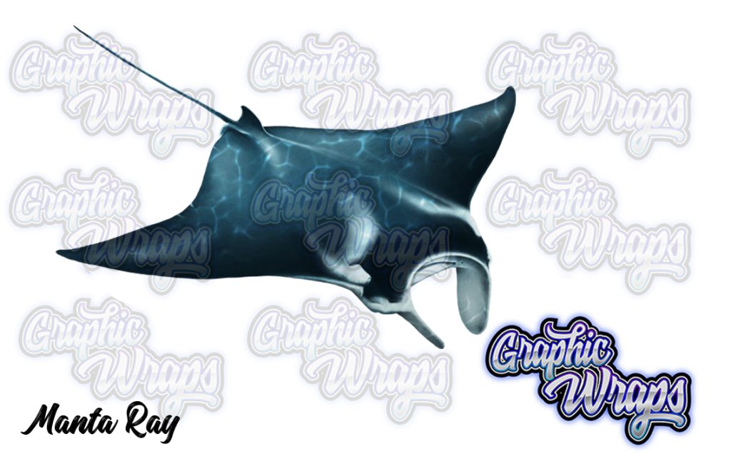 Manta Ray Graphic Wraps Character Asset 1