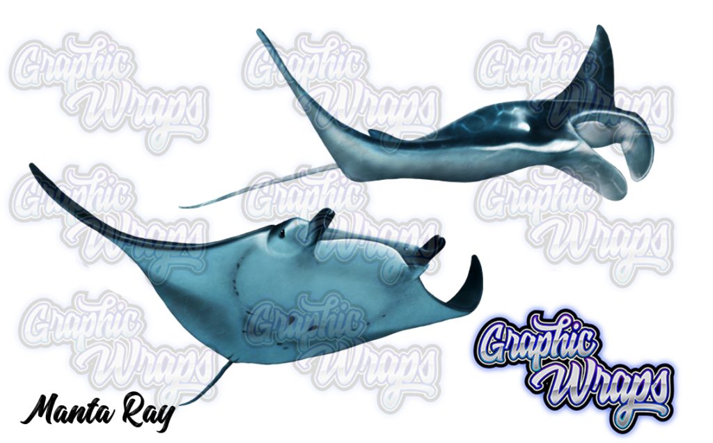 Manta Ray Graphic Wraps Character Asset 2