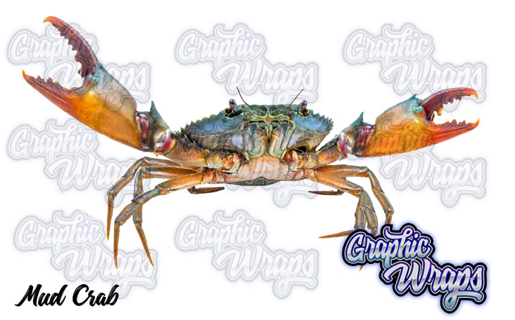 Mud Crab Graphic Wraps Character Asset 1
