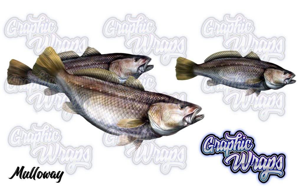 Mulloway Jew Fish Graphic Wraps Character Asset 3