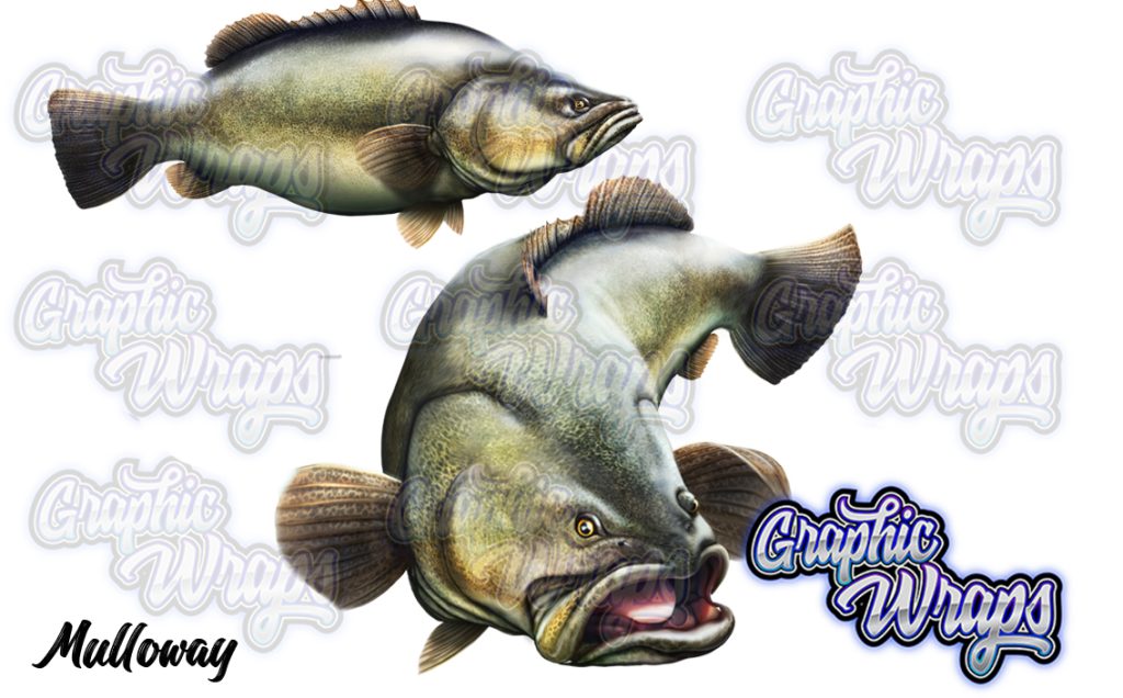Murray Cod Fish Graphic Wraps Character Asset 1