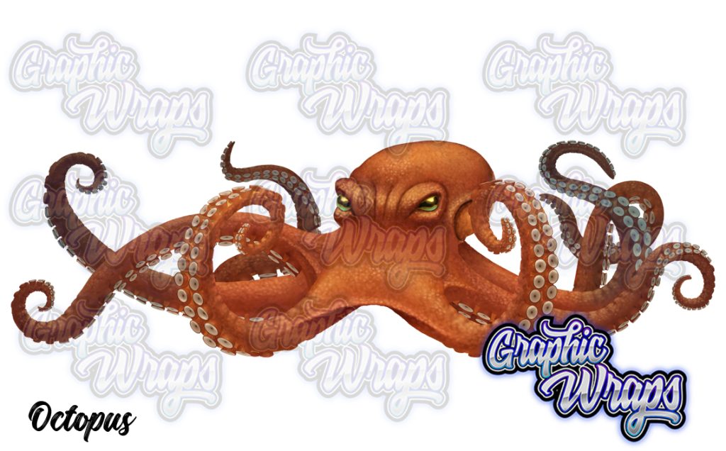 Octopus Graphic Wraps Character Asset 1