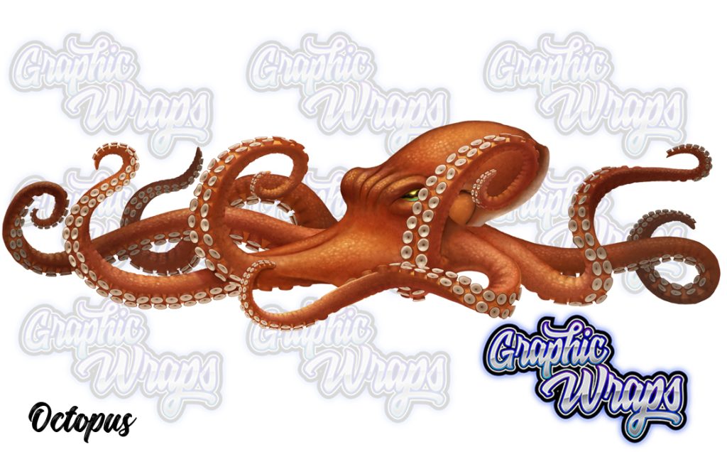 Octopus Graphic Wraps Character Asset 2