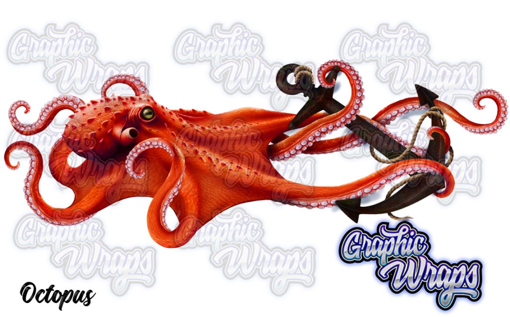 Octopus Graphic Wraps Character Asset 3