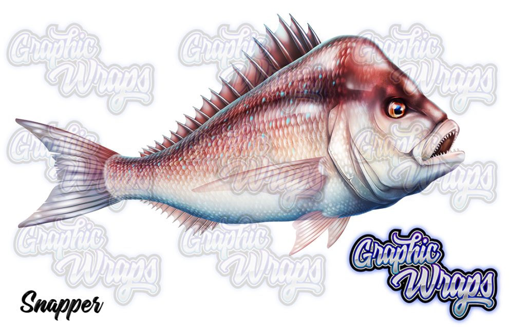 Snapper Graphic Wraps Character Asset 2