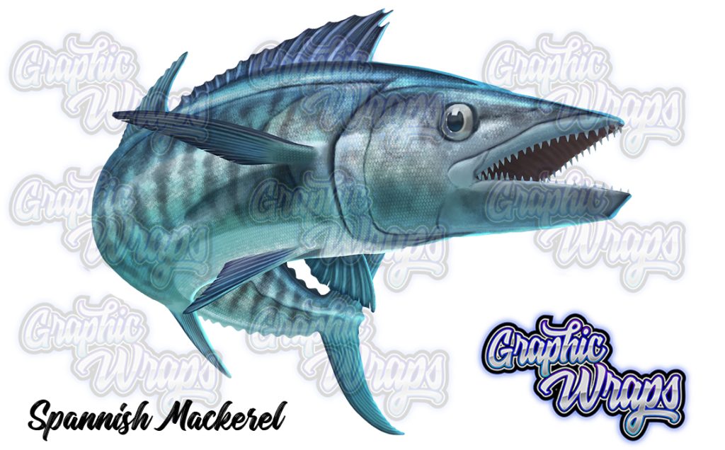 Spanish Mackerel Graphic Wraps Character Asset 2