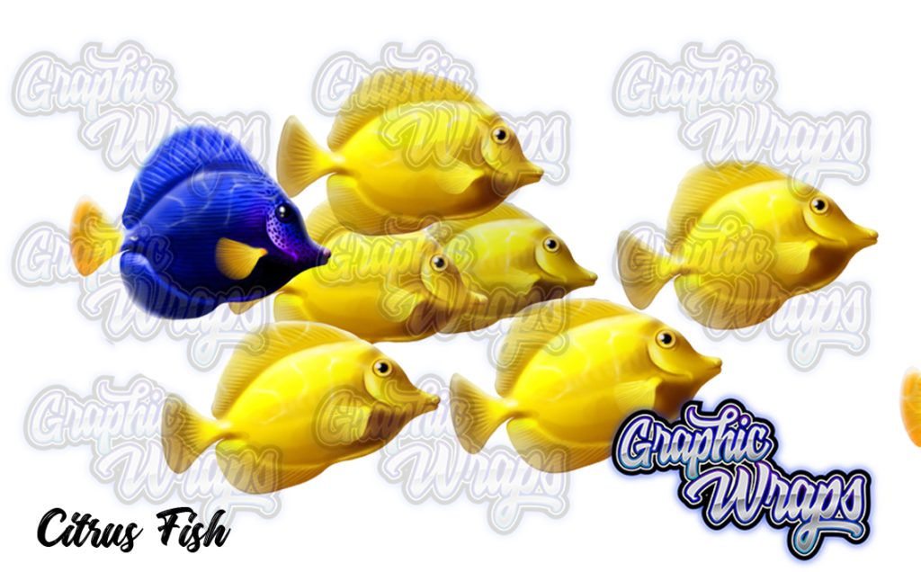 Yellow Tang Graphic Wraps Character Asset 2