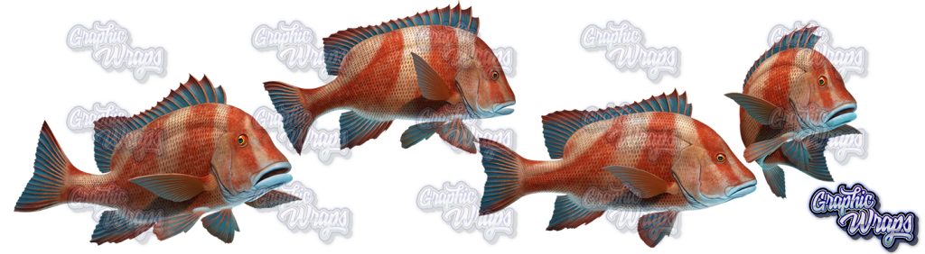 Red Emperor Fish Asset Art